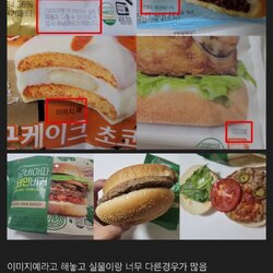 사실상 면죄부가 되어버린 문구