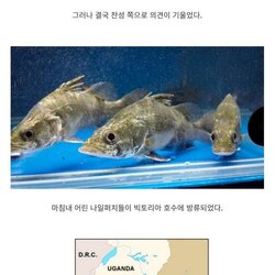 아프리카 대호수가 말라버린 이유