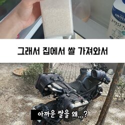 아파트 화단에 주차한 오토바이의 최후.jpg