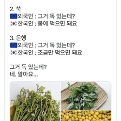 외국인 : 그거 독 있는데? / 한국인 : 네. 알아요.jpg