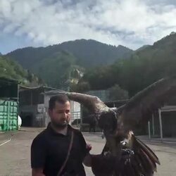 뼈가 주식인 수염수리