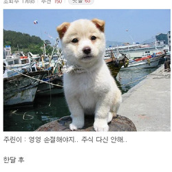 아줌마 : 에휴 한달동안 앱 안봐야겠다