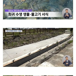 제주도 현황.jpg