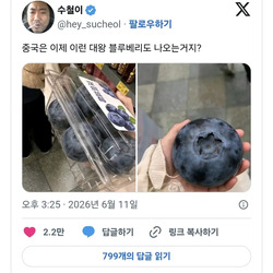 중국에서 판다는 대왕 블루베리.jpg