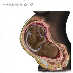 흑인 아기들은 검은 피부로 태어나지 않아요
