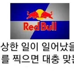 4트만에 성공한 비행중인 비행기에서 클라이밍
