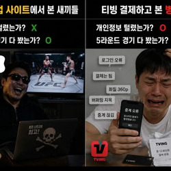 합법사이트vs불법사이트 이용자 차이