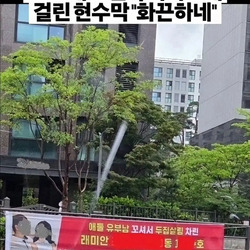 불륜 상간녀가 사는 아파트에 걸린 플래카드ㄷㄷ