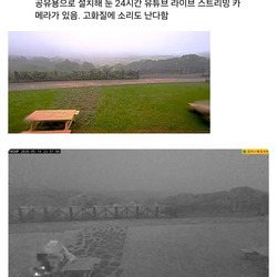 최근 난리났던 대만 CCTV 사건