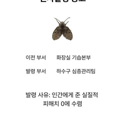 여름철 근무 스케줄 공지