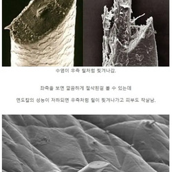 의외로 생산하는 나라가 적은 제품
