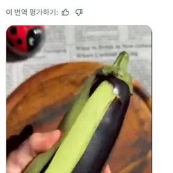 역시 친일국가(?) 튀르키예