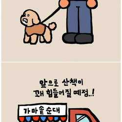 집 앞에 엄청난 게 생겨버렸다