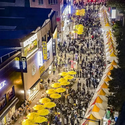 40만명 넘게 방문한 원주 만두축제...jpg