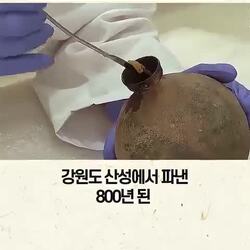 전쟁통에도 고소한 맛은 포기 못 하겠다는 집념