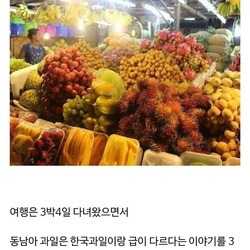 동남아여행 다녀오면 꼭 한번은 한다는 말