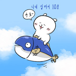 리센느 거제 야호 이후 거제투어 하는 사람들