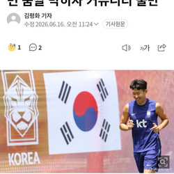 월드컵 맛이 안 난다… 움짤 막히자 커뮤 불만