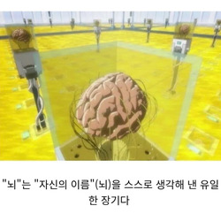 스스로 자기 이름을 지은 장기.jpg