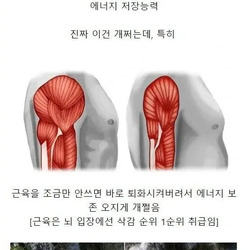 인간이 가진 S급 능력은.jpg
