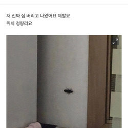 10만원 드릴게요 바퀴 잡아주세요
