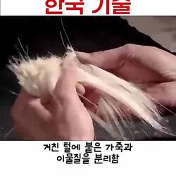필기구 1위 일본도 질려버린 한국의 기술