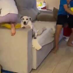 XXX:어휴 ㅅㅂ 집이 아주 개판이네...