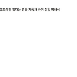 교토에만 있다는 이상한 것들