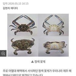 제주 외래종 ㅈ됐음 ㄷㄷㄷ
