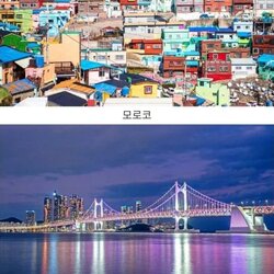 부산이 외국인들에게 각광받는 여행지가 된 이유