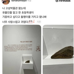 박물관에 돌 기증한 순수한 초등학생