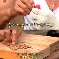 잣이 비싼 이유