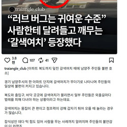 러브버그는 애교였다
