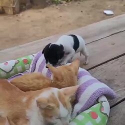저 좀 끼어도 될까요