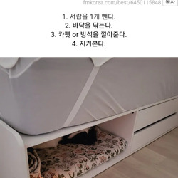 내 침대가 서랍 침대다 하는 집사들