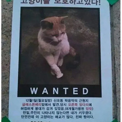 욕망이 가득한 실종 전단지.jpg