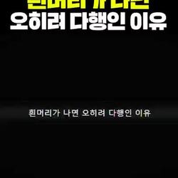 흰머리가 나면 오히려 다행인 이유