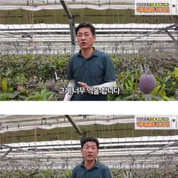 공판장에는 납품 안한다는 사장님.jpg
