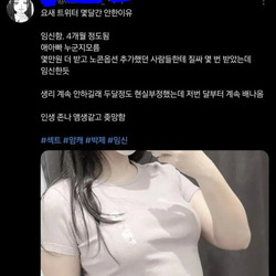 섹트녀가 트위터를 몇달간 안한 이유