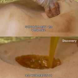 미국인들의 평범한 아침식사.jpg