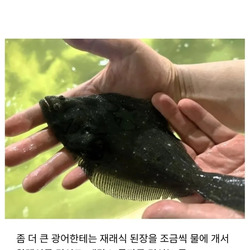 회 먹을 때마다 감사한 인물 GOAT