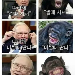 주식 커뮤에서 하나 배운 거 있음