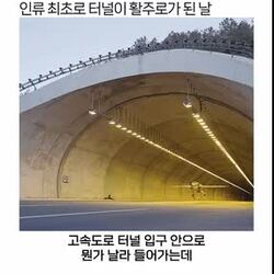 인류 최초의 미친짓을 성공한 레드불 (feat 인디아나 죤스3