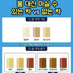 물 대신 마실수 O or X