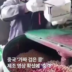 중국 검은 콩 제조영상