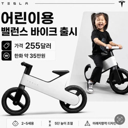 테슬라 유아용 자전거