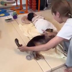 겨우 아기 재웠는데, 댕댕이가...