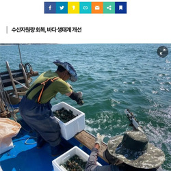 전복 치패 방류 사업 근황