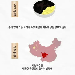 짜장, 간짜장, 유니짜장의 차이