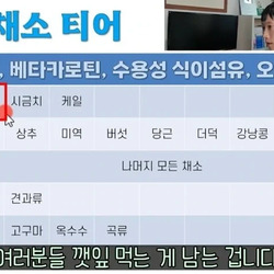 당뇨 채소티어